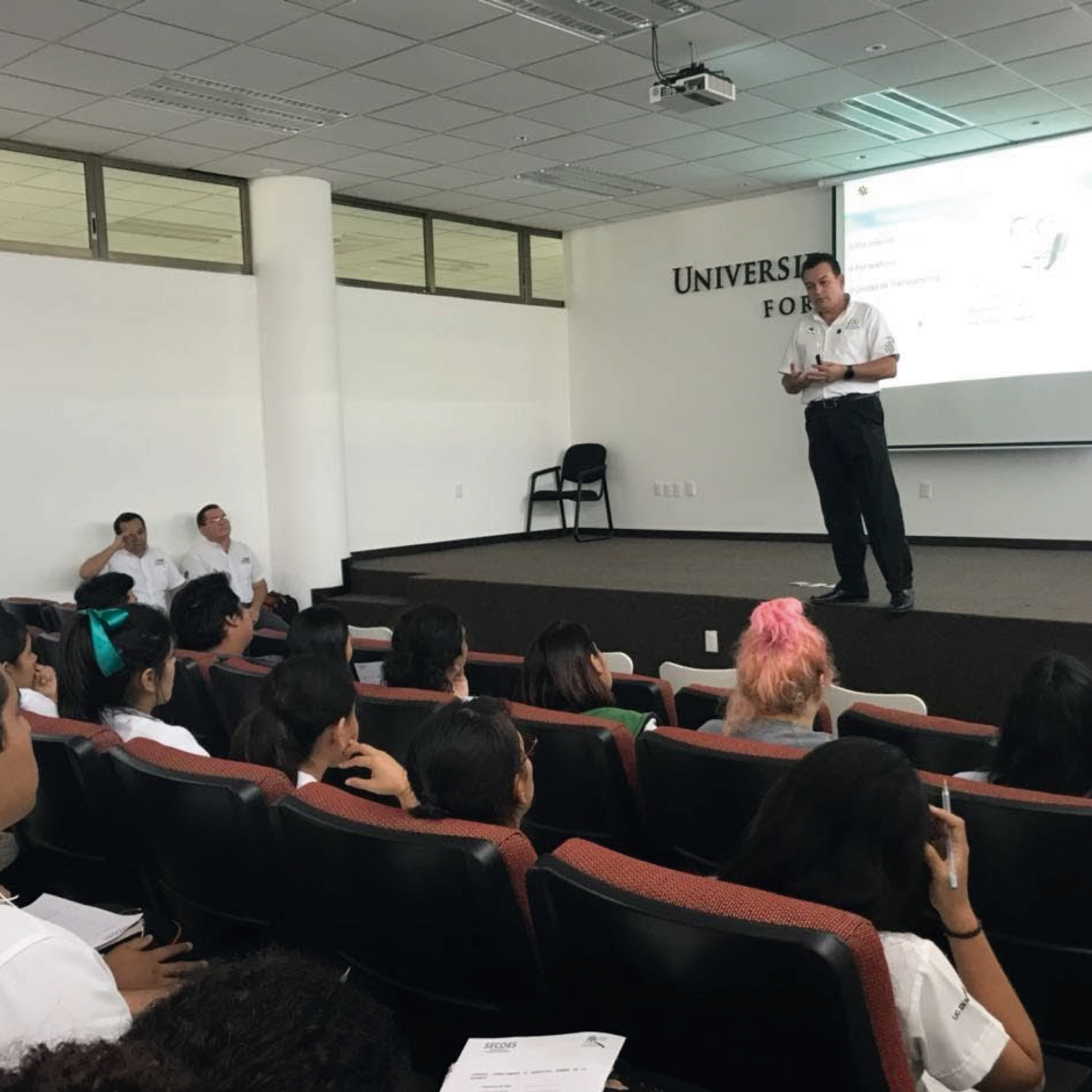 Universidad Politécnica de Bacalar